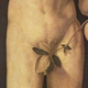 Illustration for article titled Genitals In Genesis